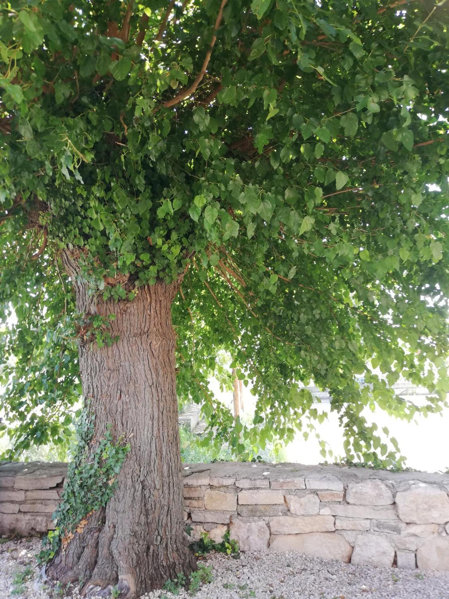 Lory Villa Sveti Lovreč Pazenatički Eksteriør bilde