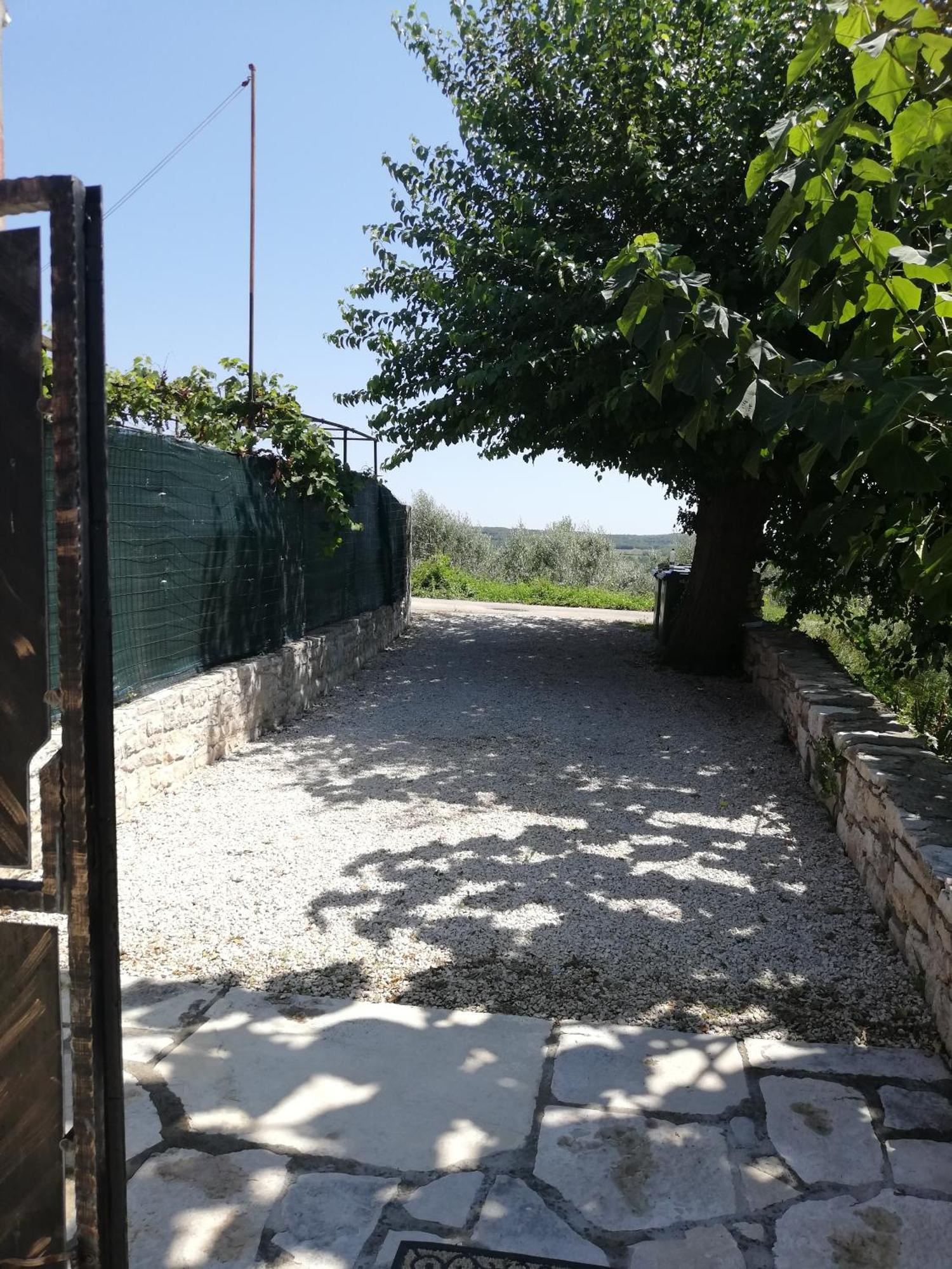 Lory Villa Sveti Lovreč Pazenatički Eksteriør bilde